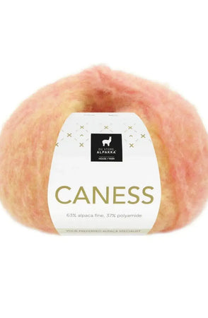 Caness - 2503 Sunshine