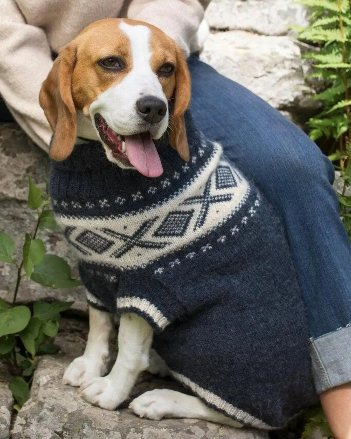 Cortina Hundegenser, Indigo Melert